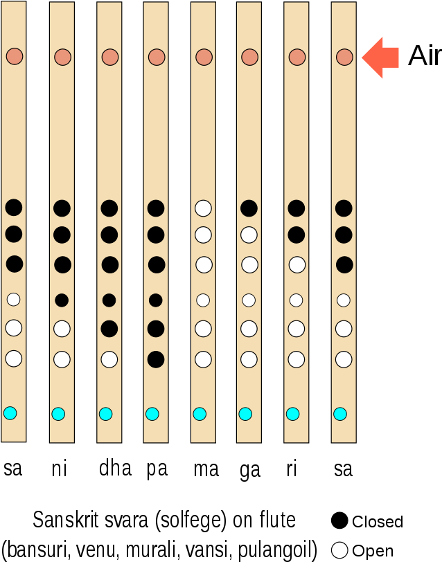 Download Flute Fingering Chart Sanskrit Svara | Wallpapers.com