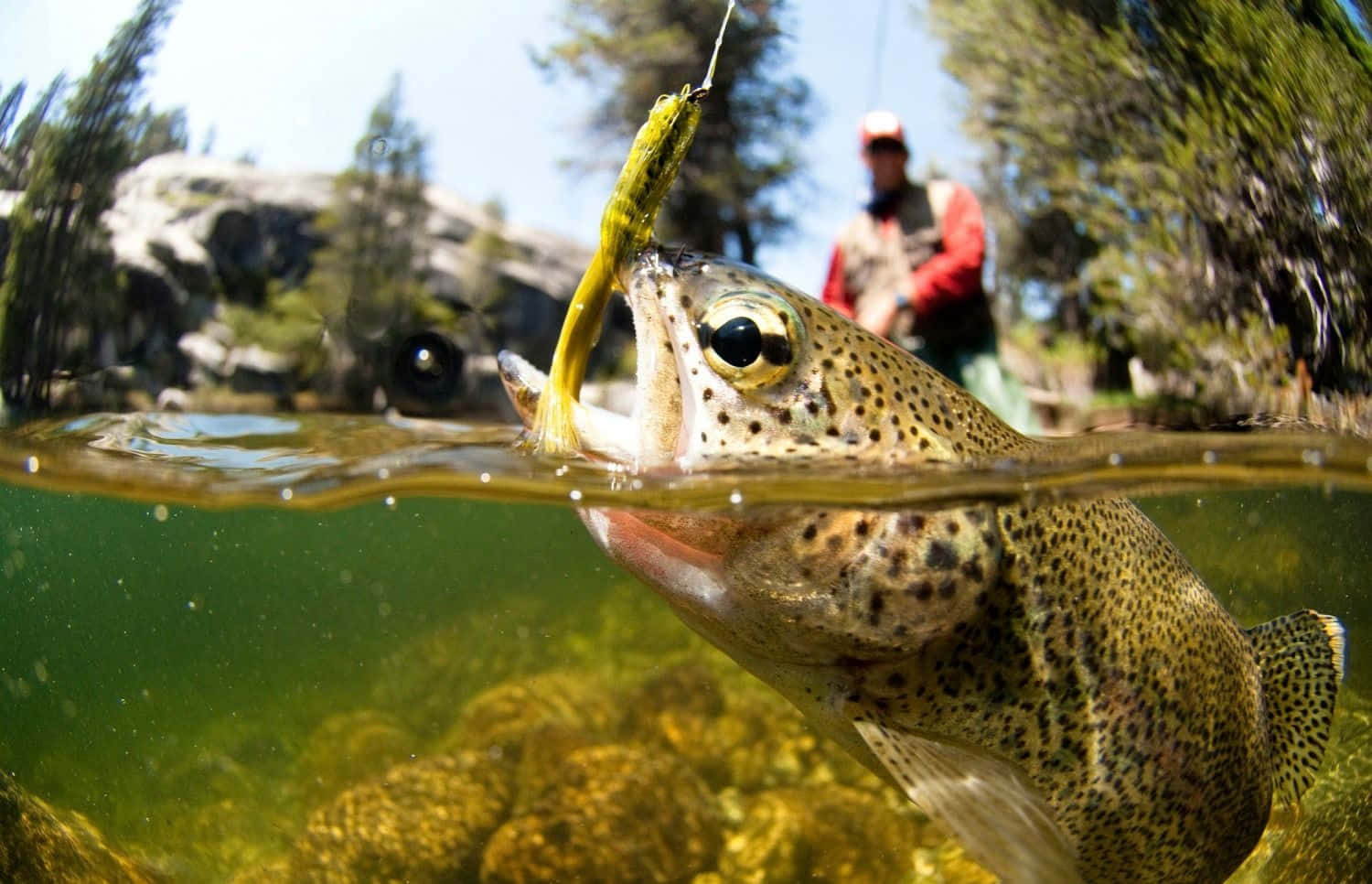 Fly Fishing Close Up Nature Photography Wallpaper