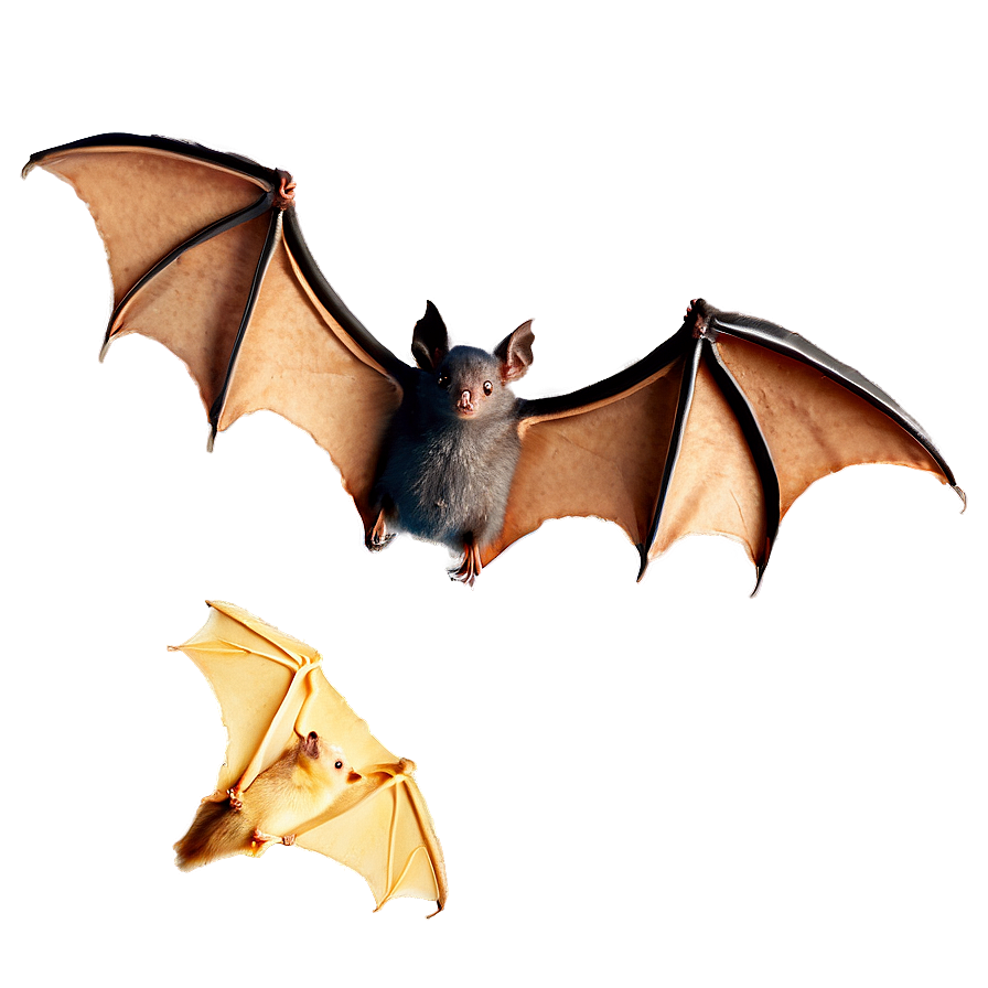 Flying Bats Png 05232024 PNG