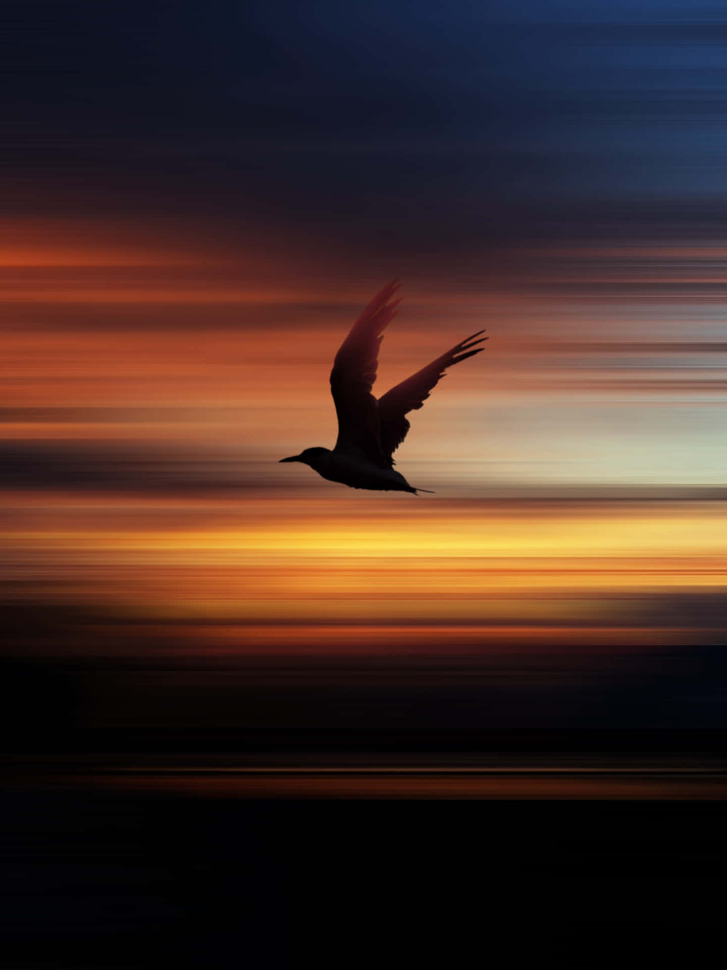 Flygandefågel Och Vacker Solnedgång På Himlen. Wallpaper