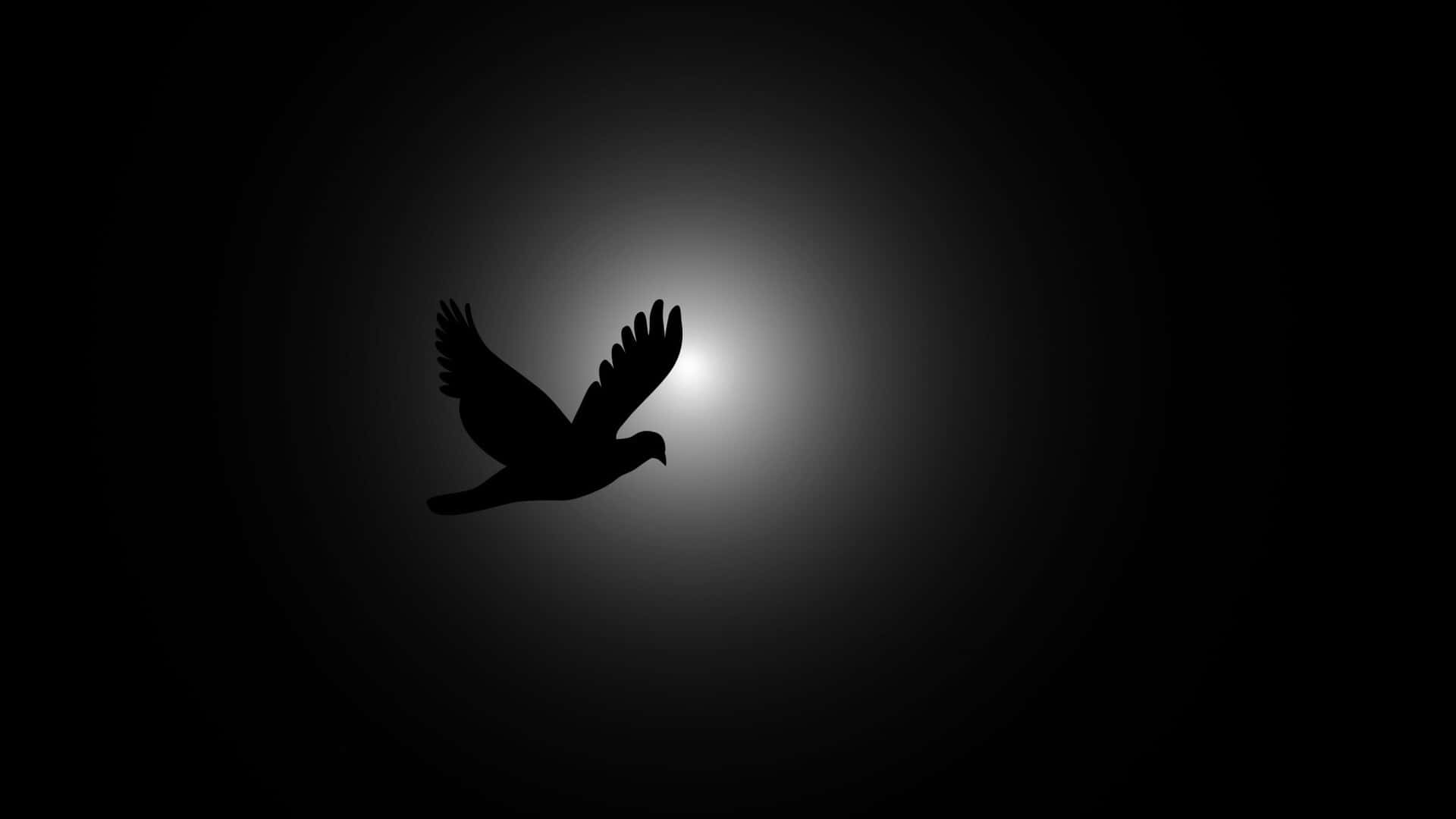 Flying Bird Silhouette Of A Dove Wallpaper