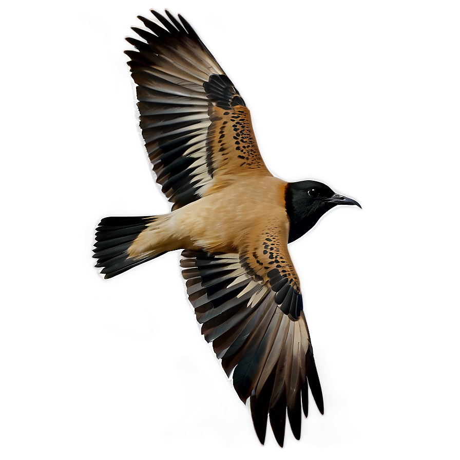 Flying Bird Transparent Png 05032024 PNG