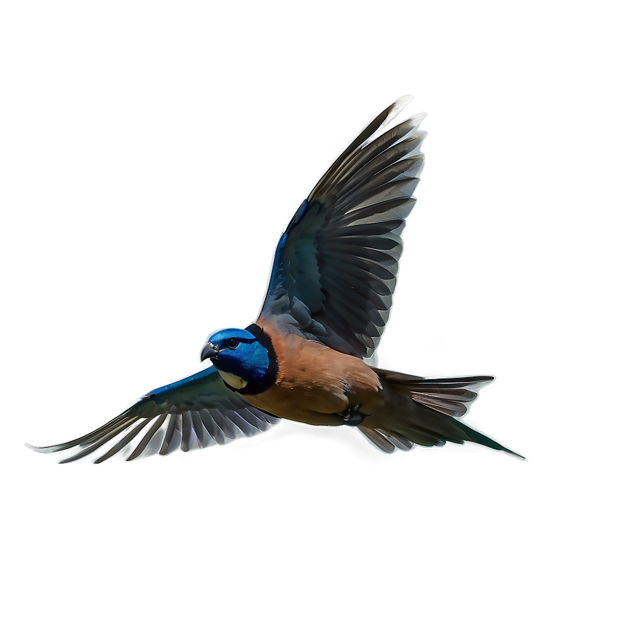 Flying Bird Transparent Png 70 PNG