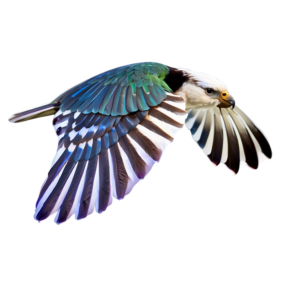 Flying Bird Transparent Png 97 PNG