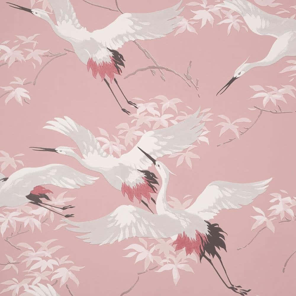 Flying Birds Pink Cranes Wallpaper
