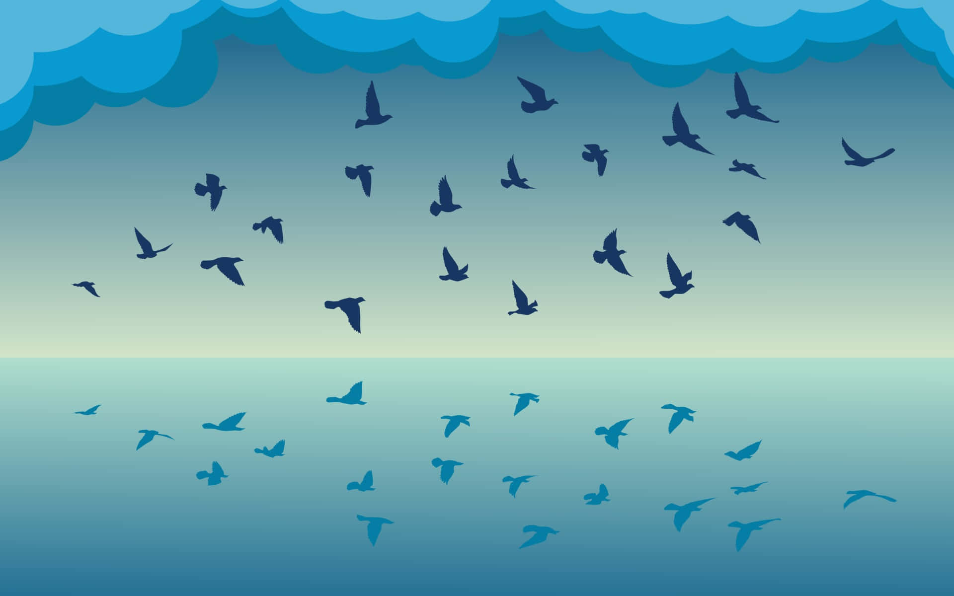 Flygandefåglar Sveper Över Havet. Wallpaper