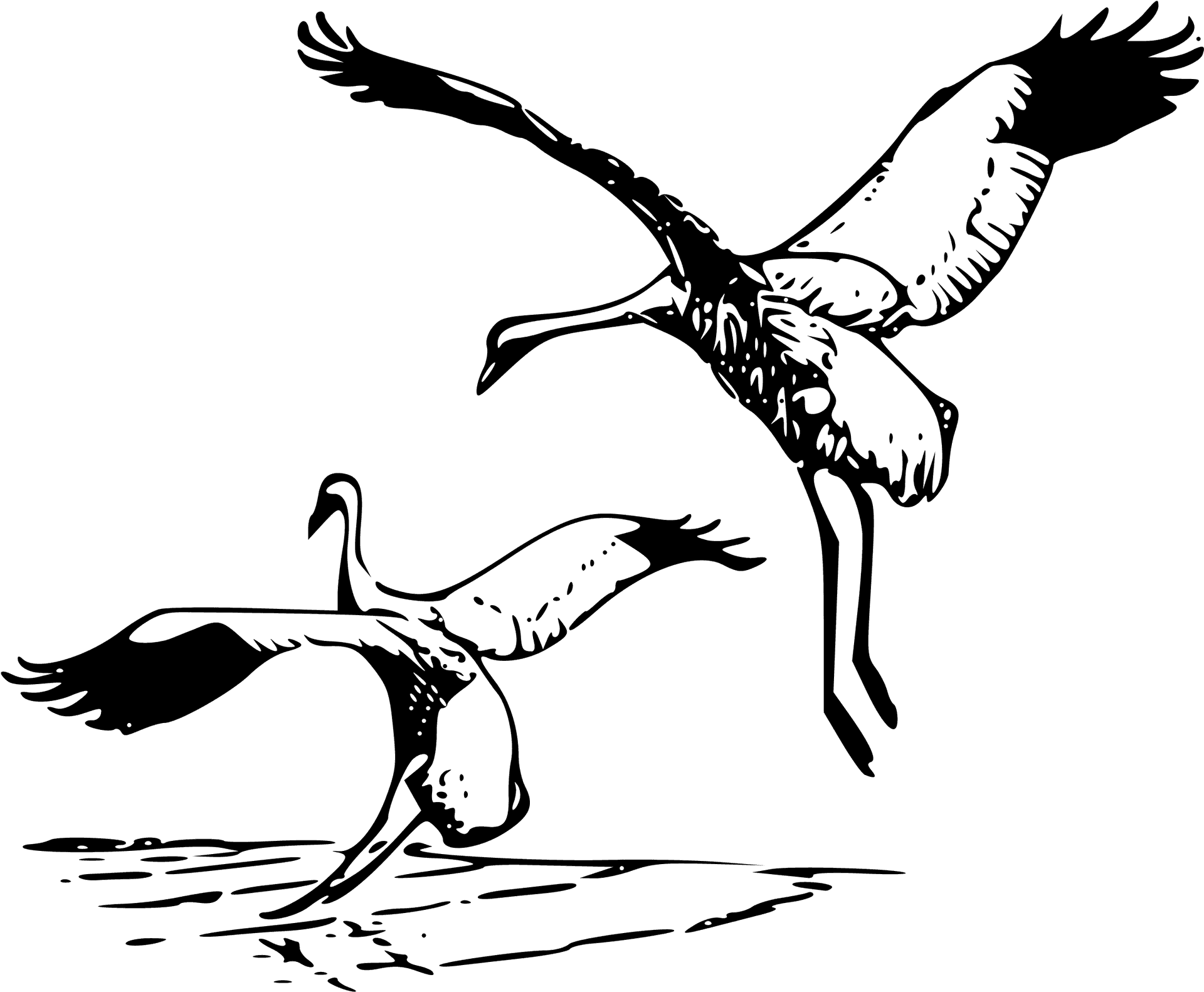Flying Black Birds Sketch PNG