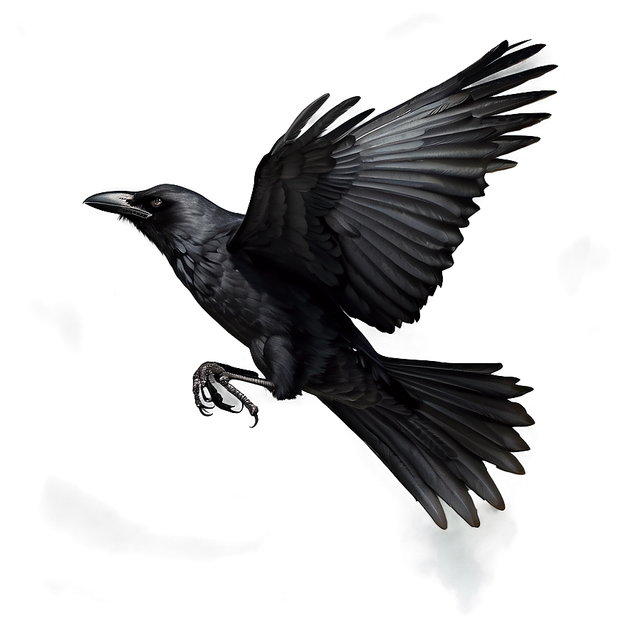 Download Flying Crow Png 70 | Wallpapers.com