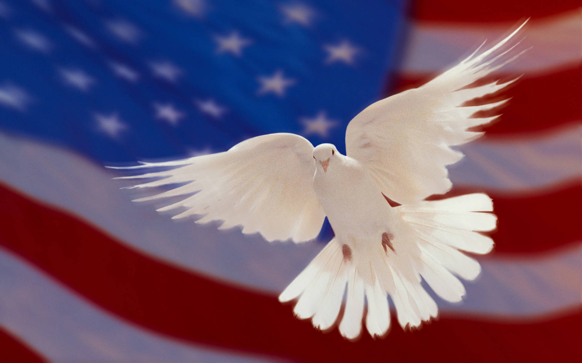 Flying Dove And Blurry American Flag Wallpaper