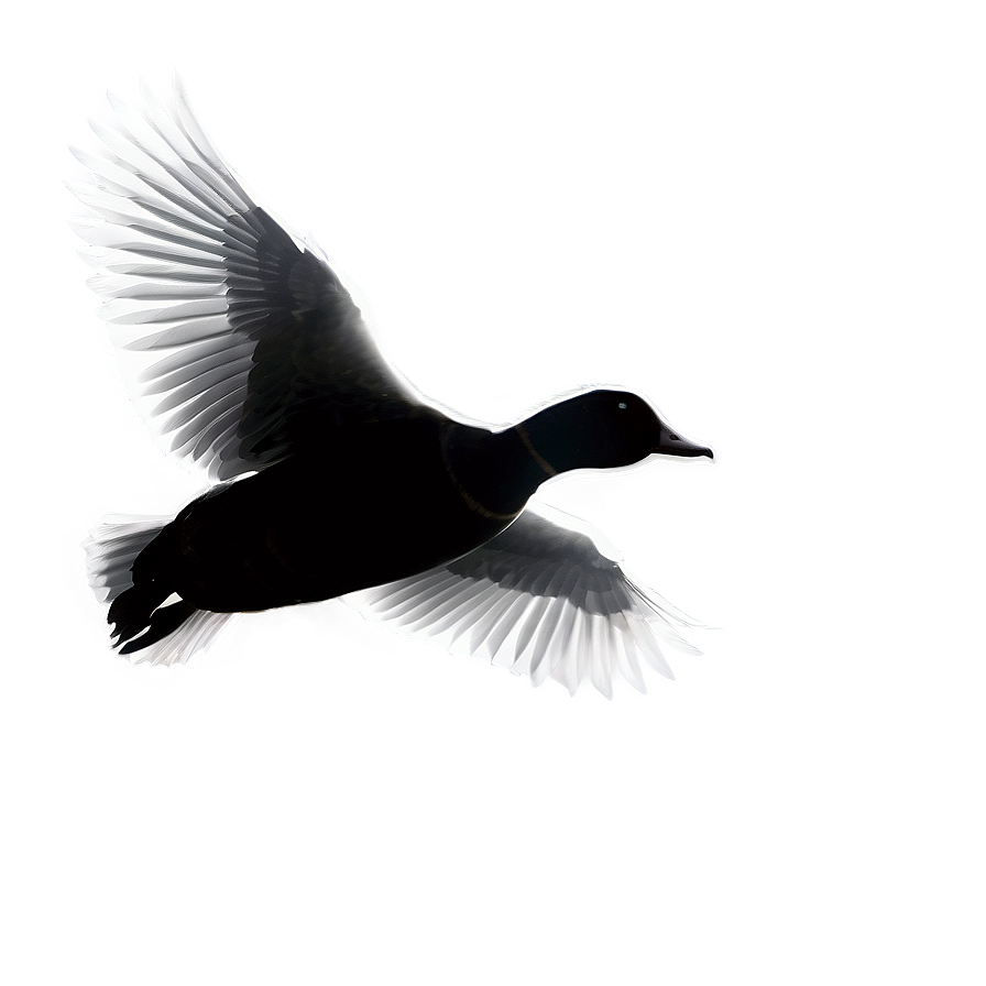 Flying Duck Silhouette Png Sah14 PNG