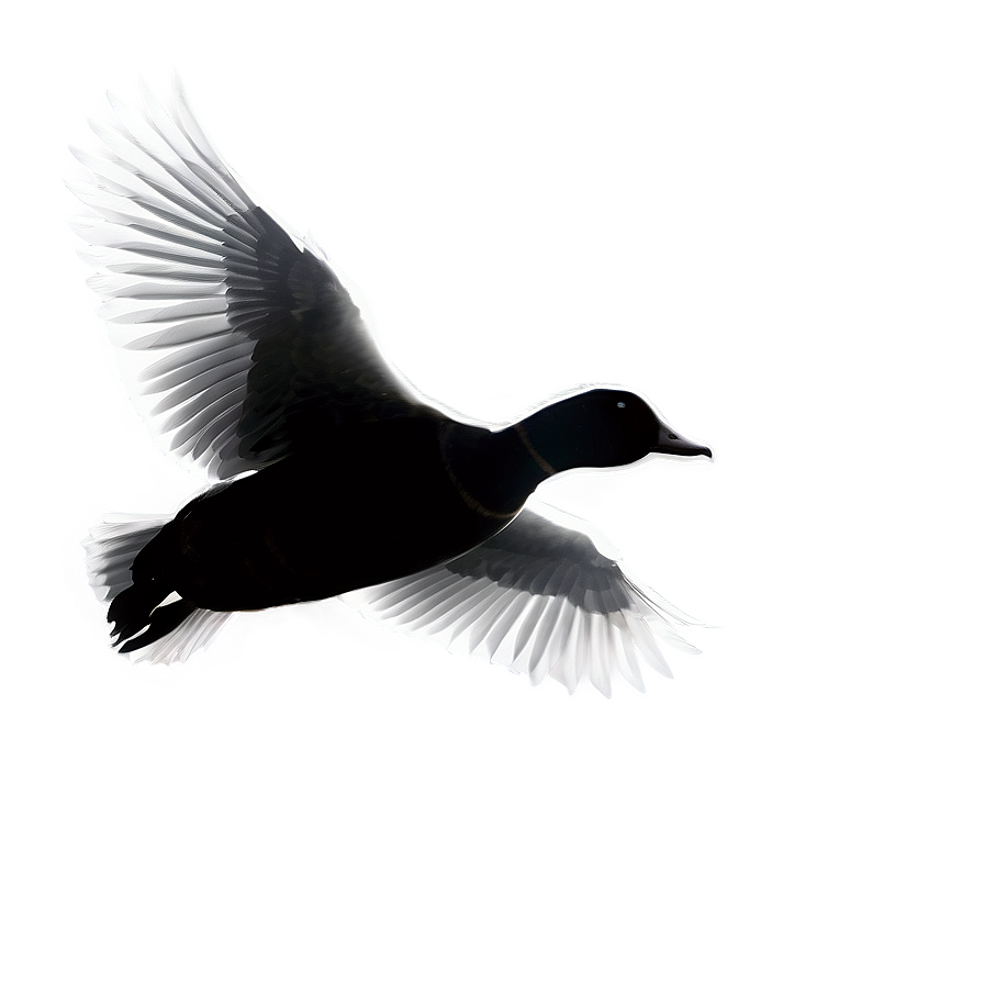 Download Flying Duck Silhouette Png Sah14 | Wallpapers.com