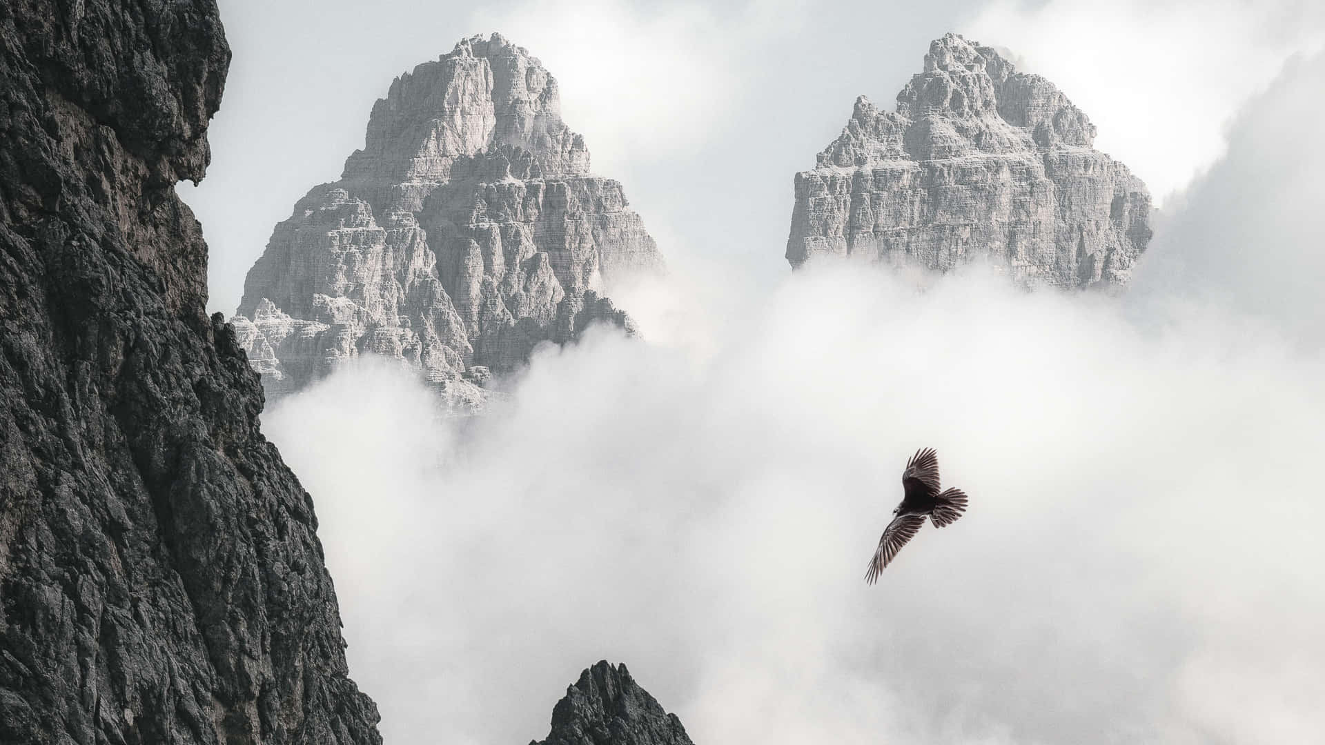 Flyvende ørn på et bjergtaget landskab Wallpaper