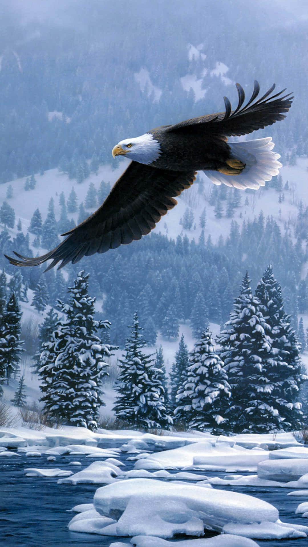Flying Eagle On A Taiga Forest Wallpaper