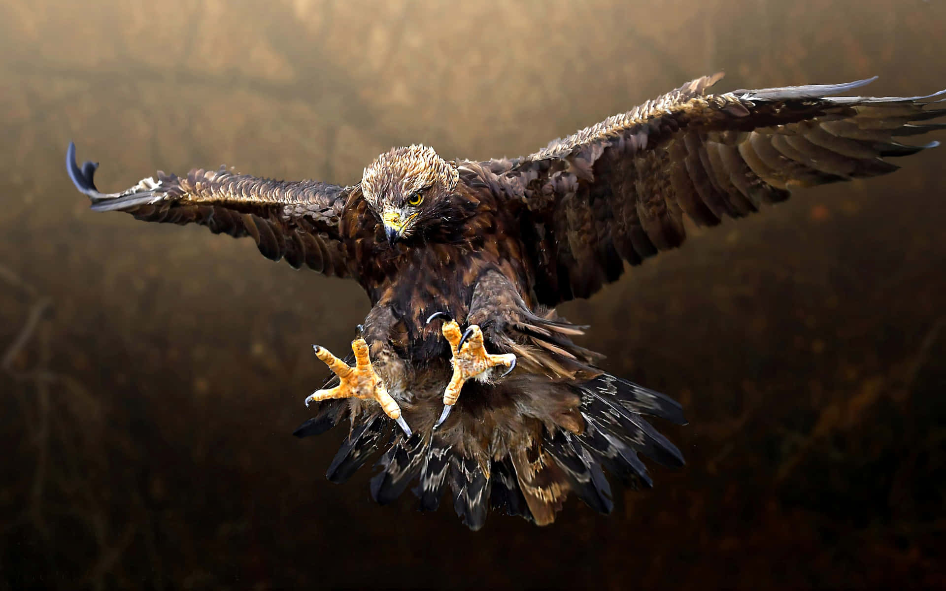 Flying Eagle Pouncing With Its Talons Wallpaper
