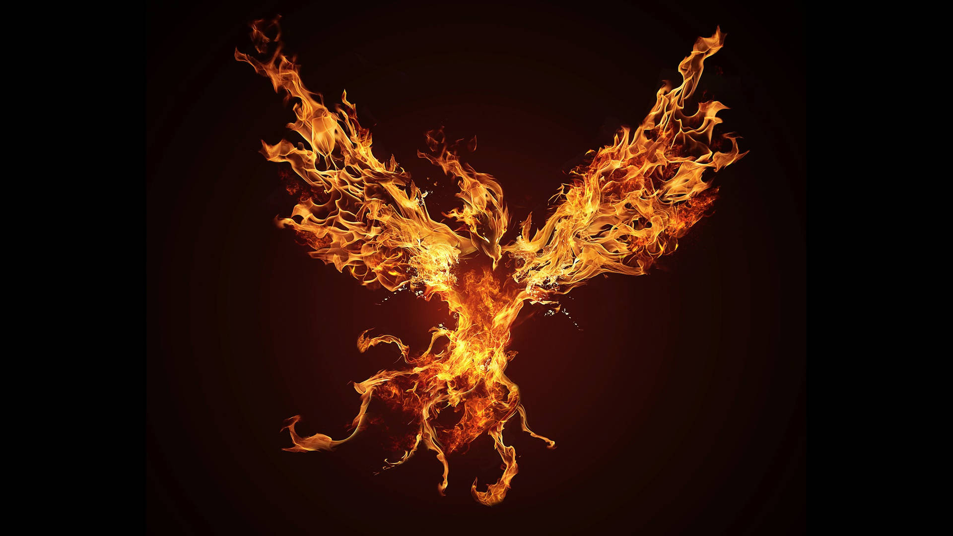 Flying Fire Phoenix Hd