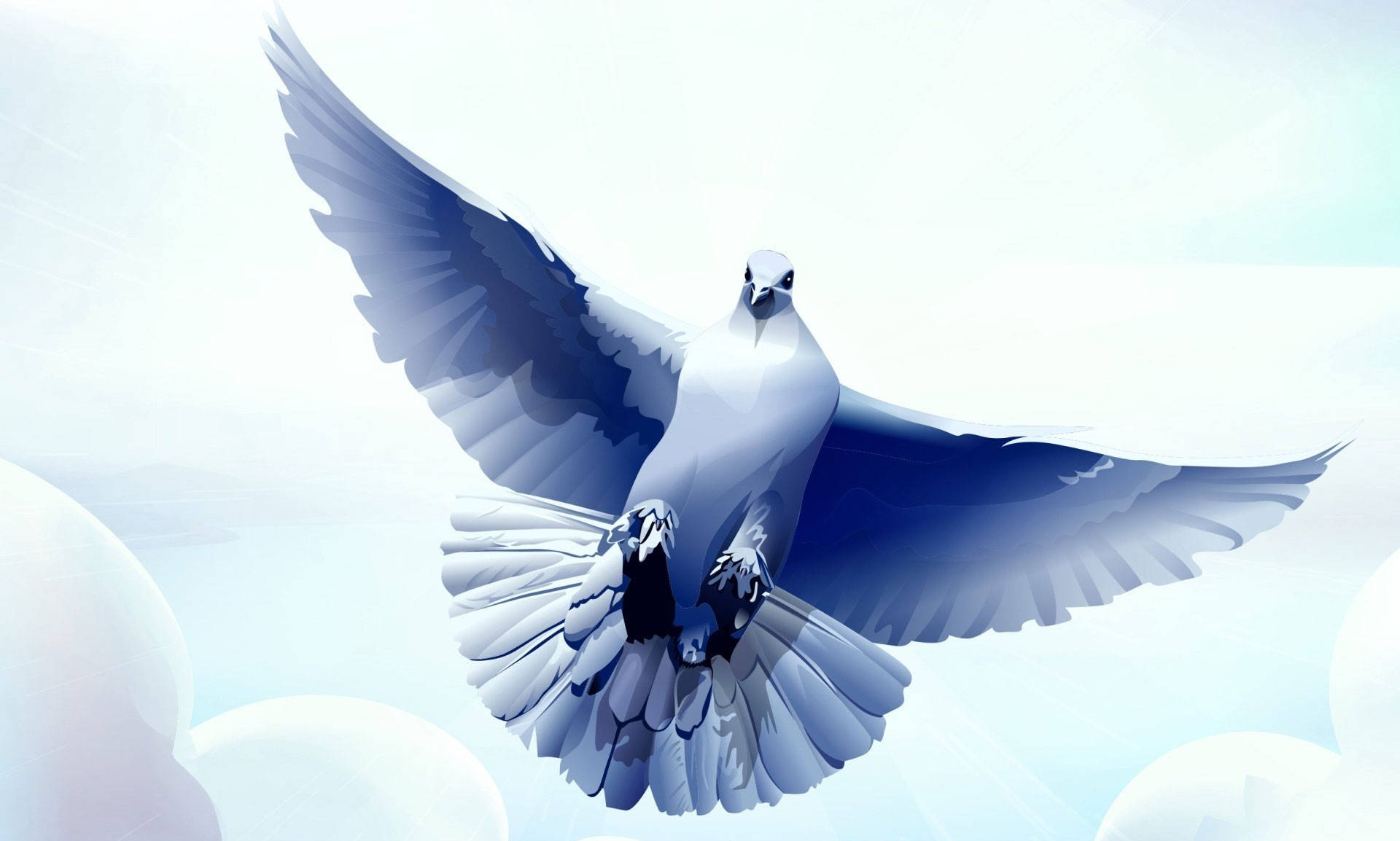 Flying Gray Dove Low Angle Digital Art Wallpaper