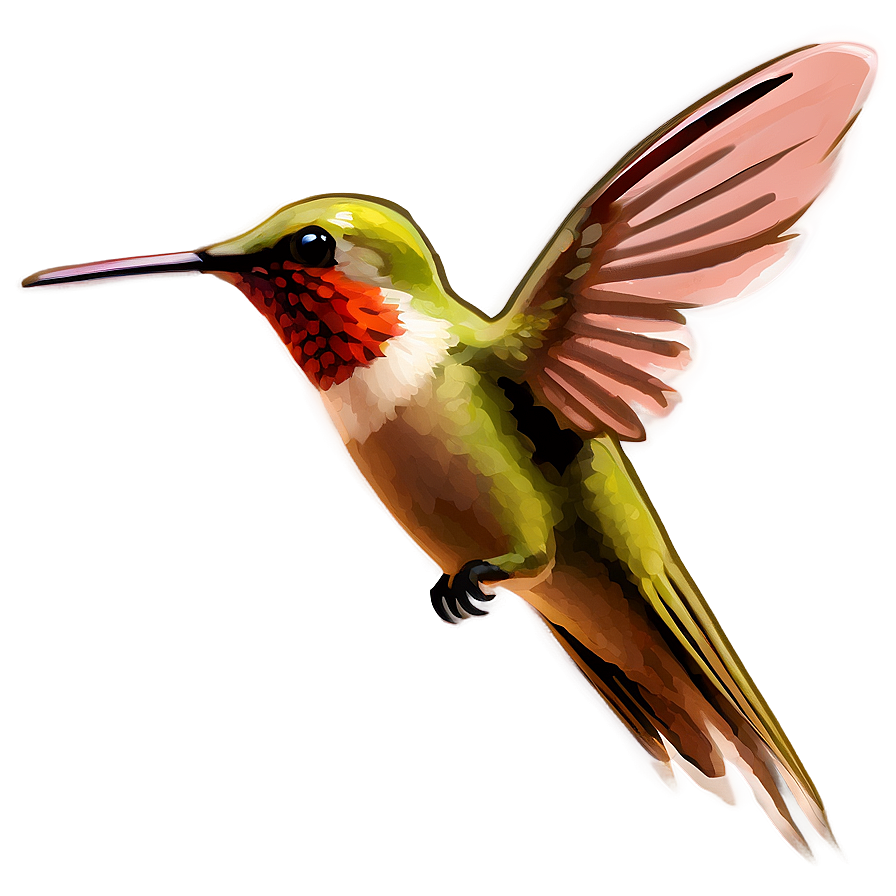 Download Flying Hummingbird Png 05212024 | Wallpapers.com