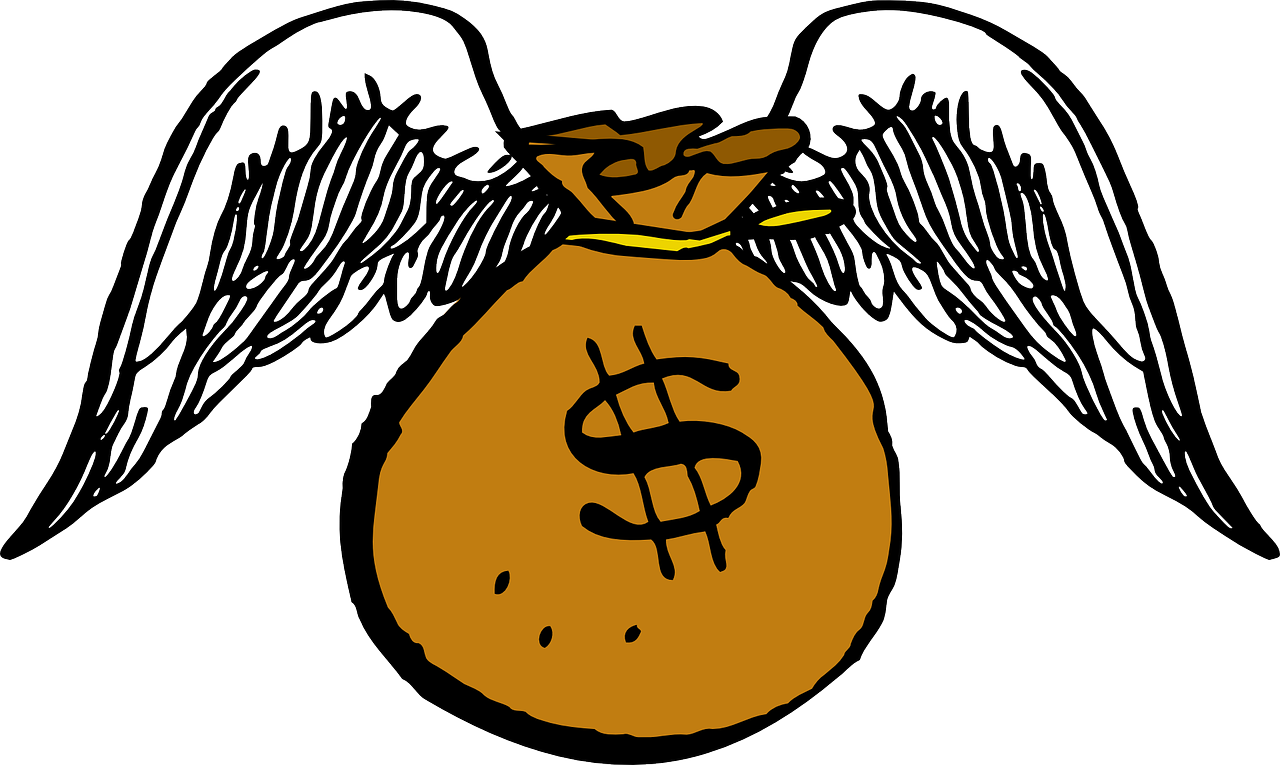 Flying Money Bag Illustration PNG