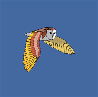 Flying Owl Illustration PNG