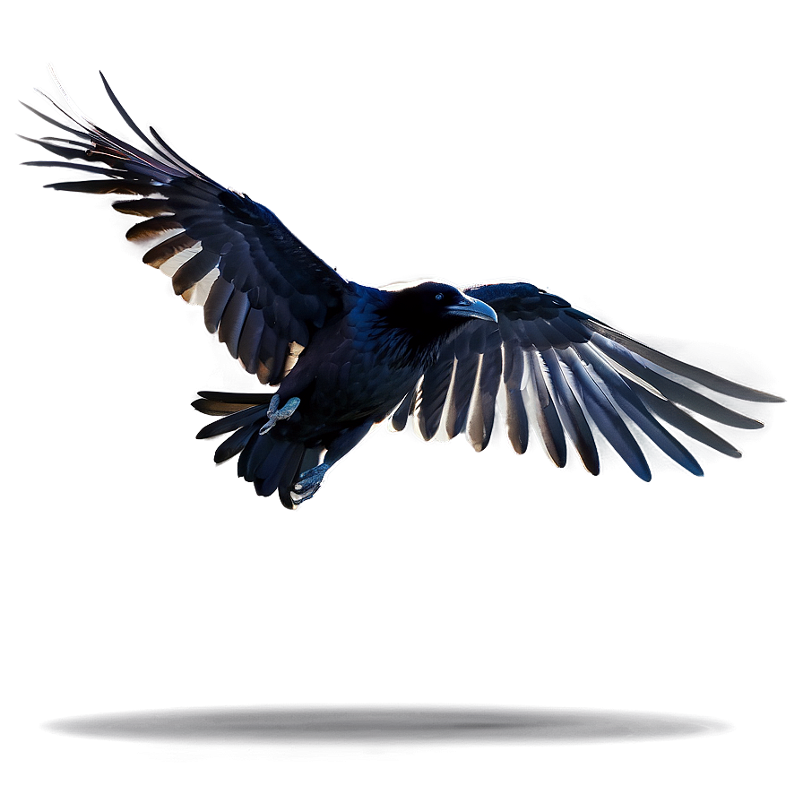 Download Flying Raven Png 05062024 | Wallpapers.com