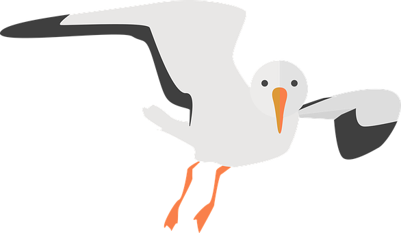 Flying Seagull Vector Illustration PNG