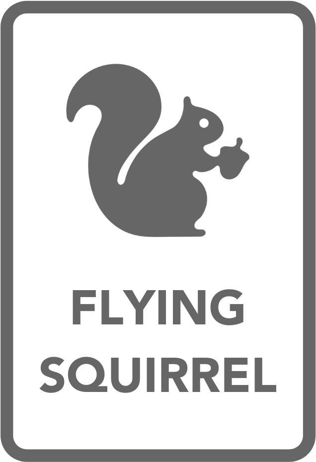 Flying Squirrel Sign Graphic PNG