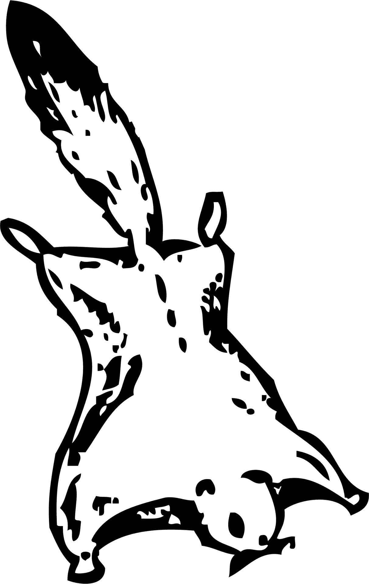 Flying_ Squirrel_ Silhouette PNG