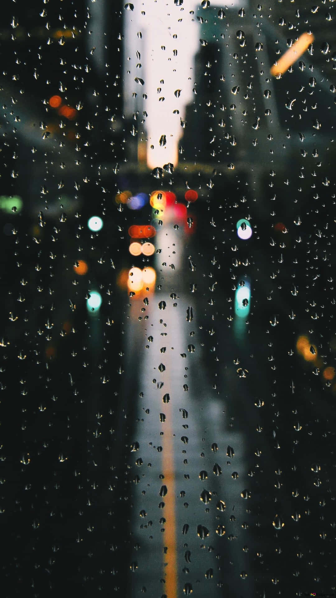 Focused Rain Wallpaper