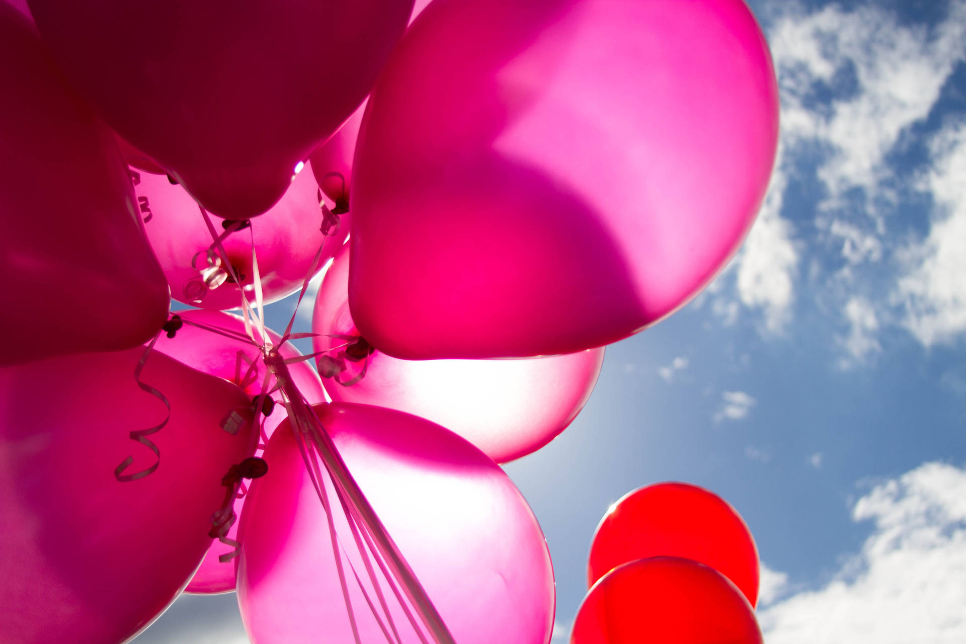 Fødselsdag Pink Og Røde Balloner Wallpaper