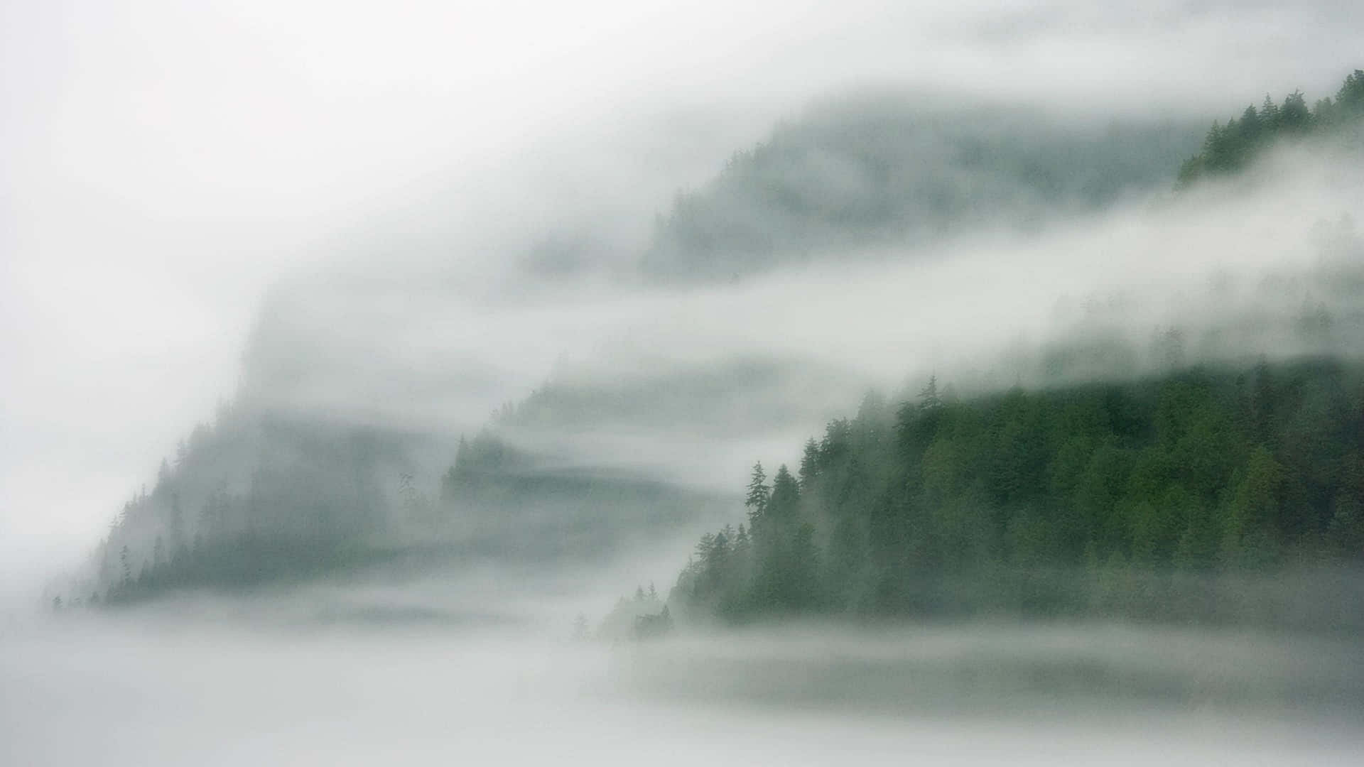 Vistasurreale Del Lago Costiero Avvolto Dalla Nebbia