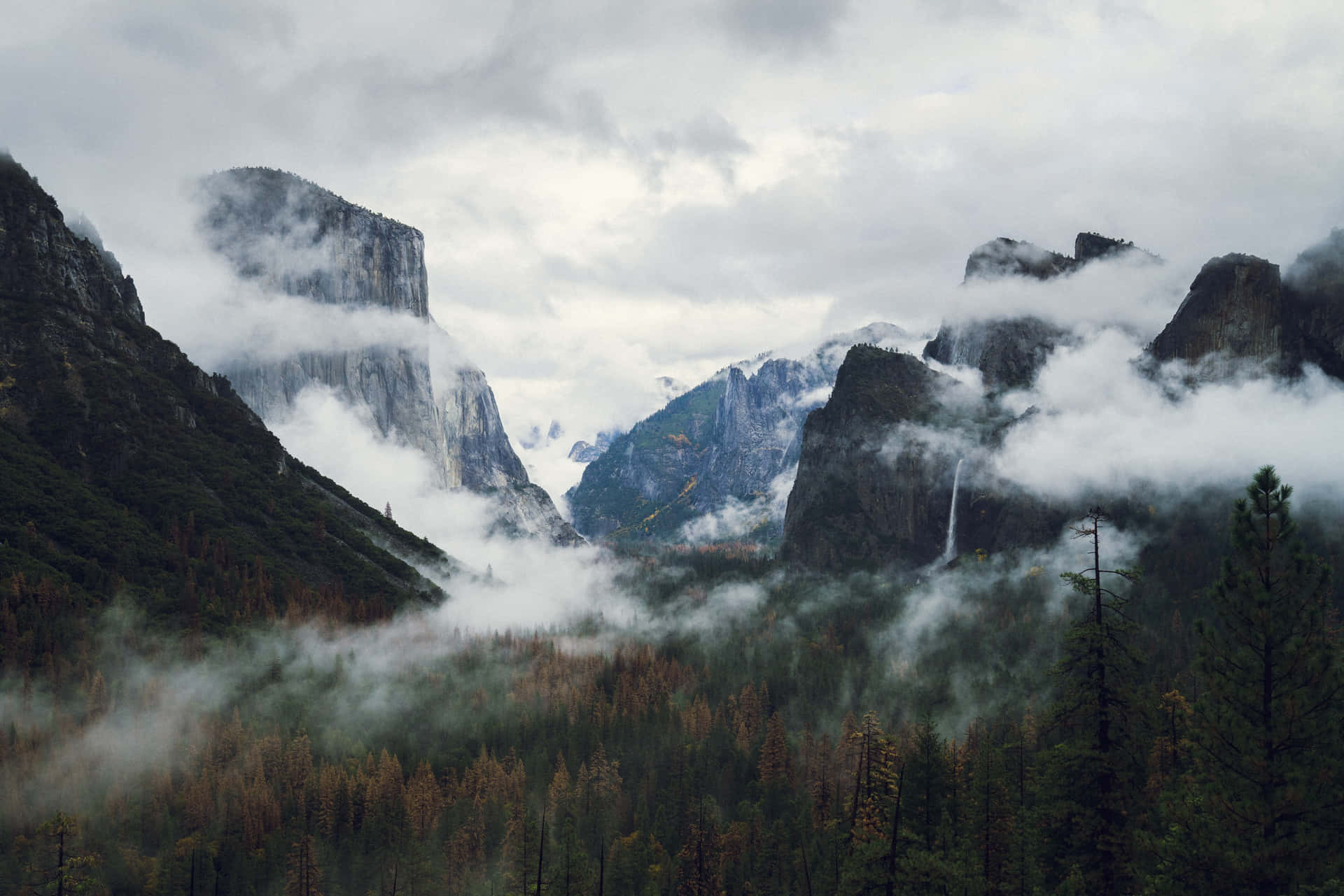 Velandoen Misterio, La Niebla Abraza Suavemente Todo Lo Que Ve.