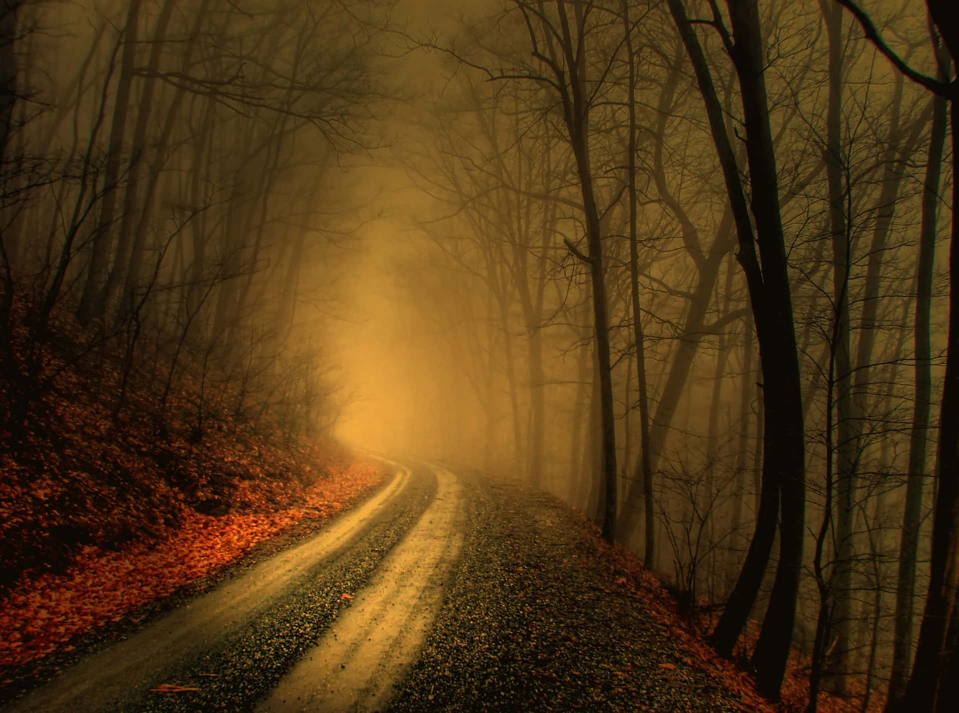 "Blanket of mist, a mystical morning fog"