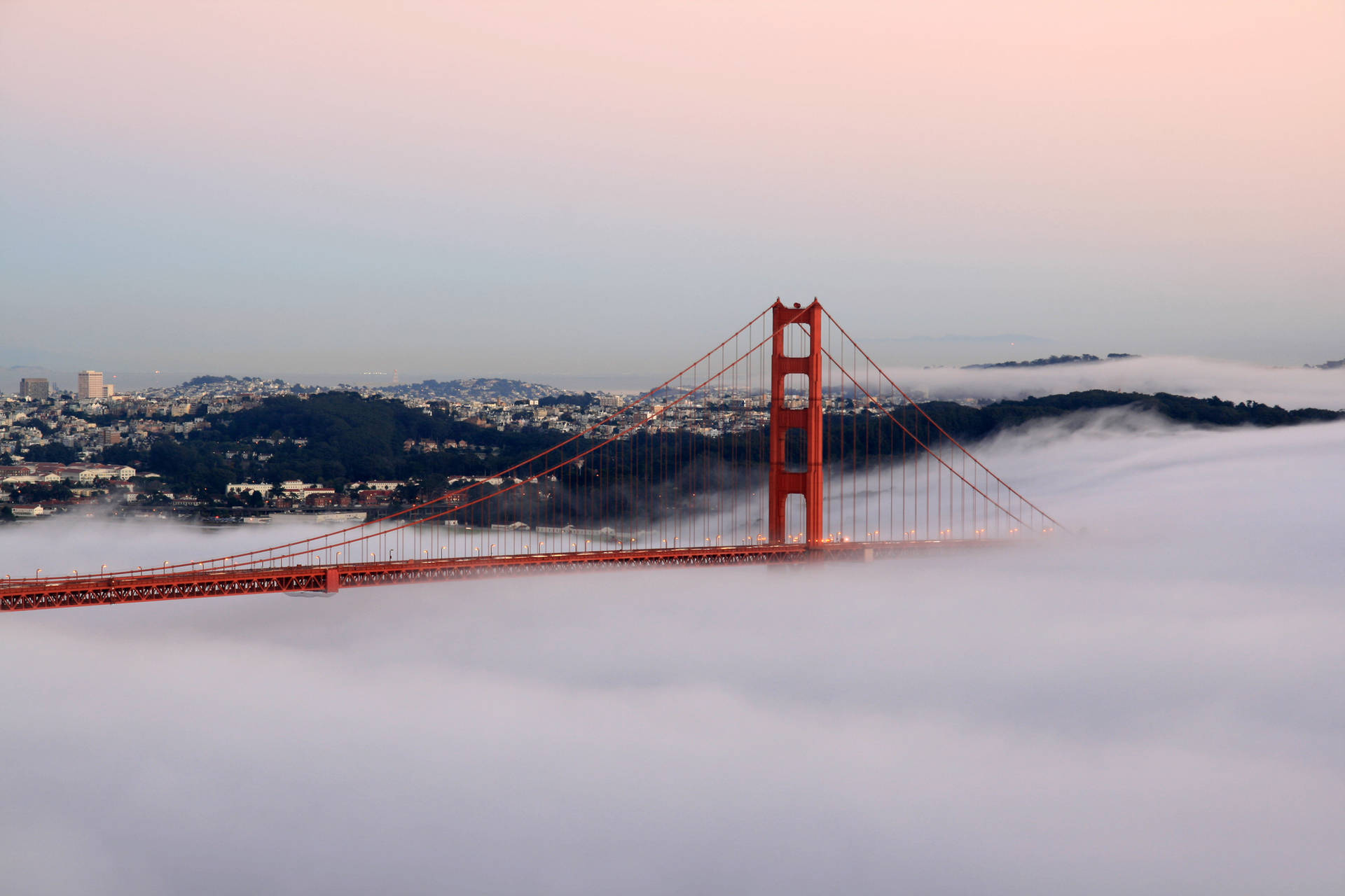 Fog Bridge San Francisco Photography Picture