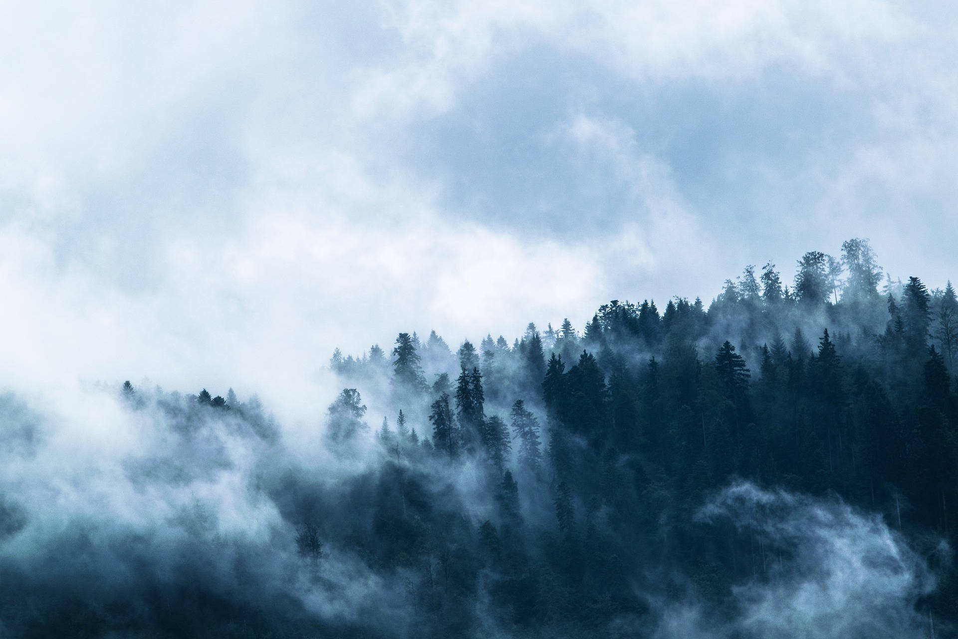 Nebelüber Den Blauen Wäldern Wallpaper