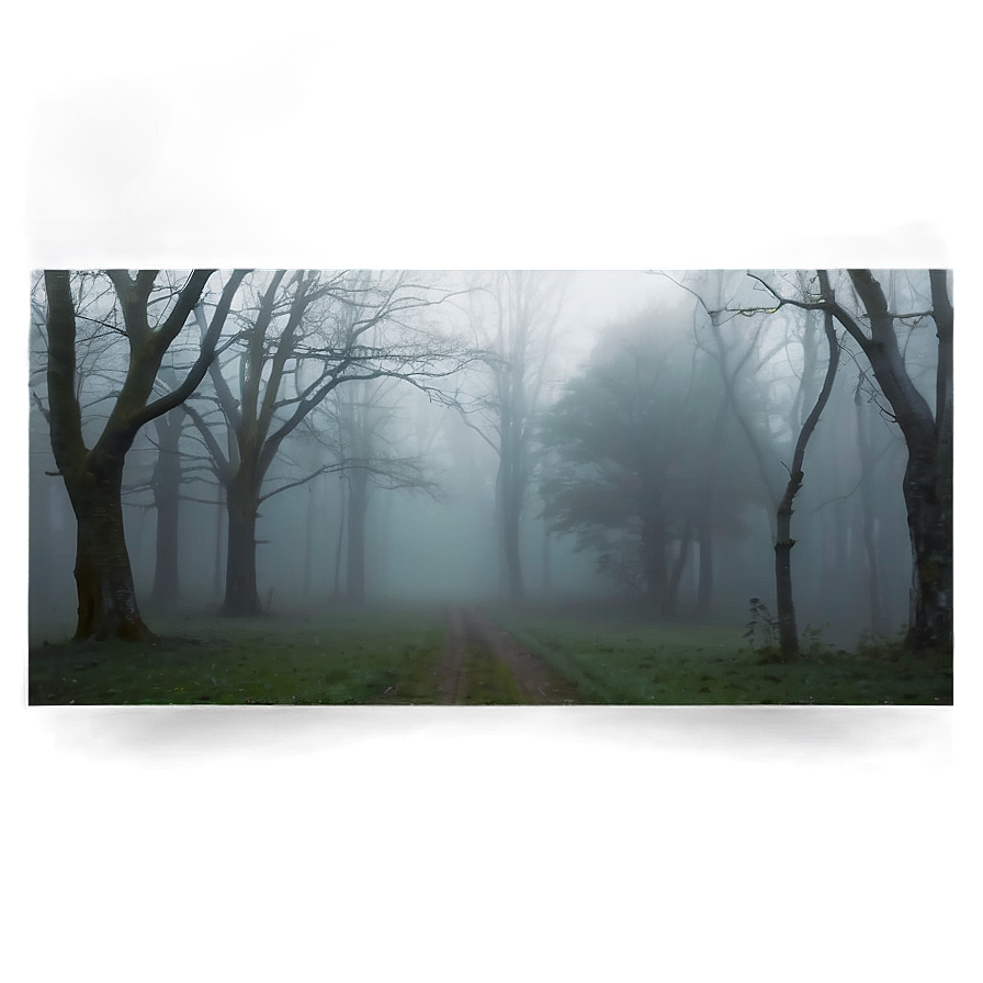 Fog Texture Transparent Png 05262024 PNG