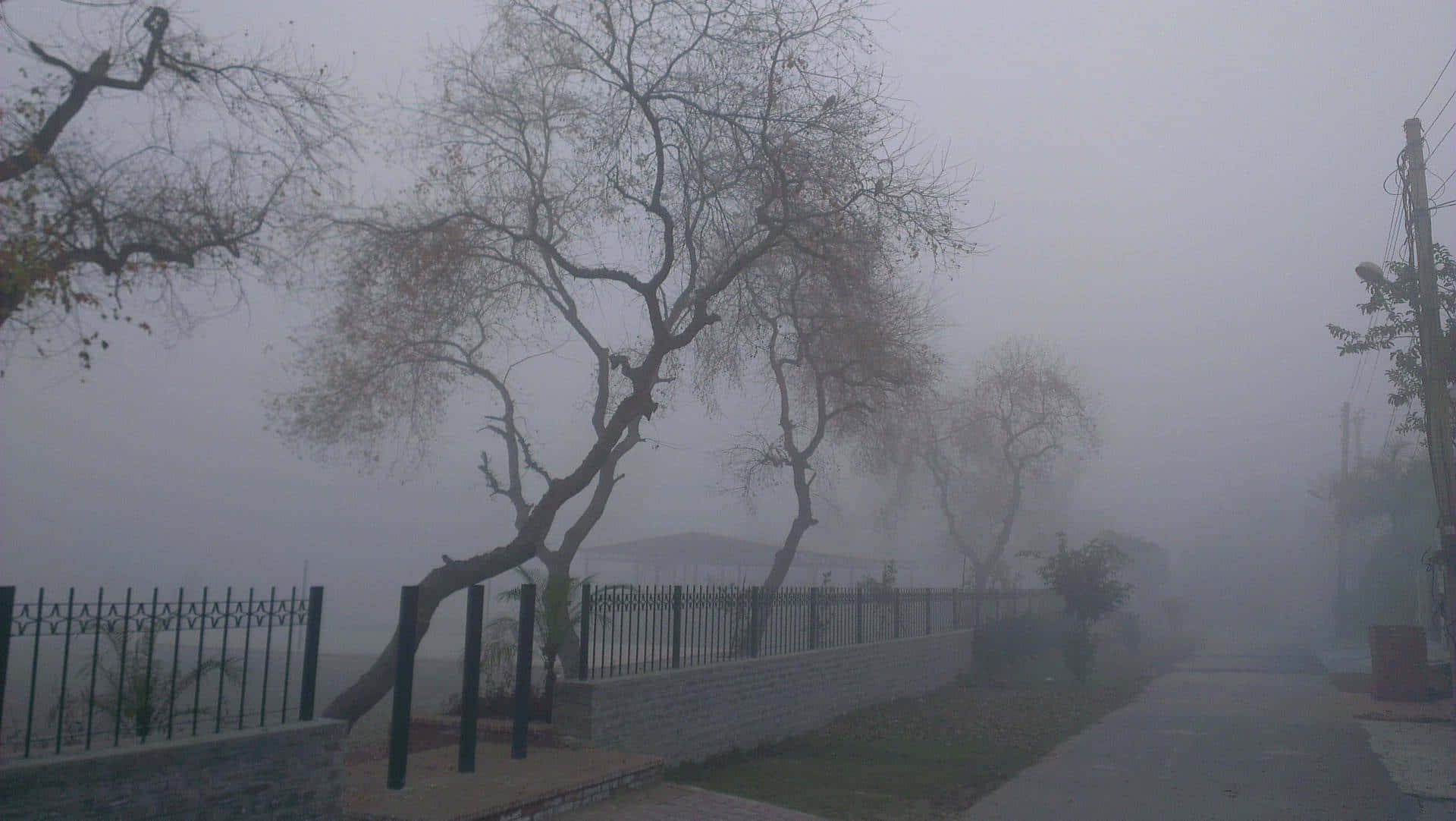 Unsereno Paisaje Neblinoso Enmarcado En Tonos De Gris. Fondo de pantalla