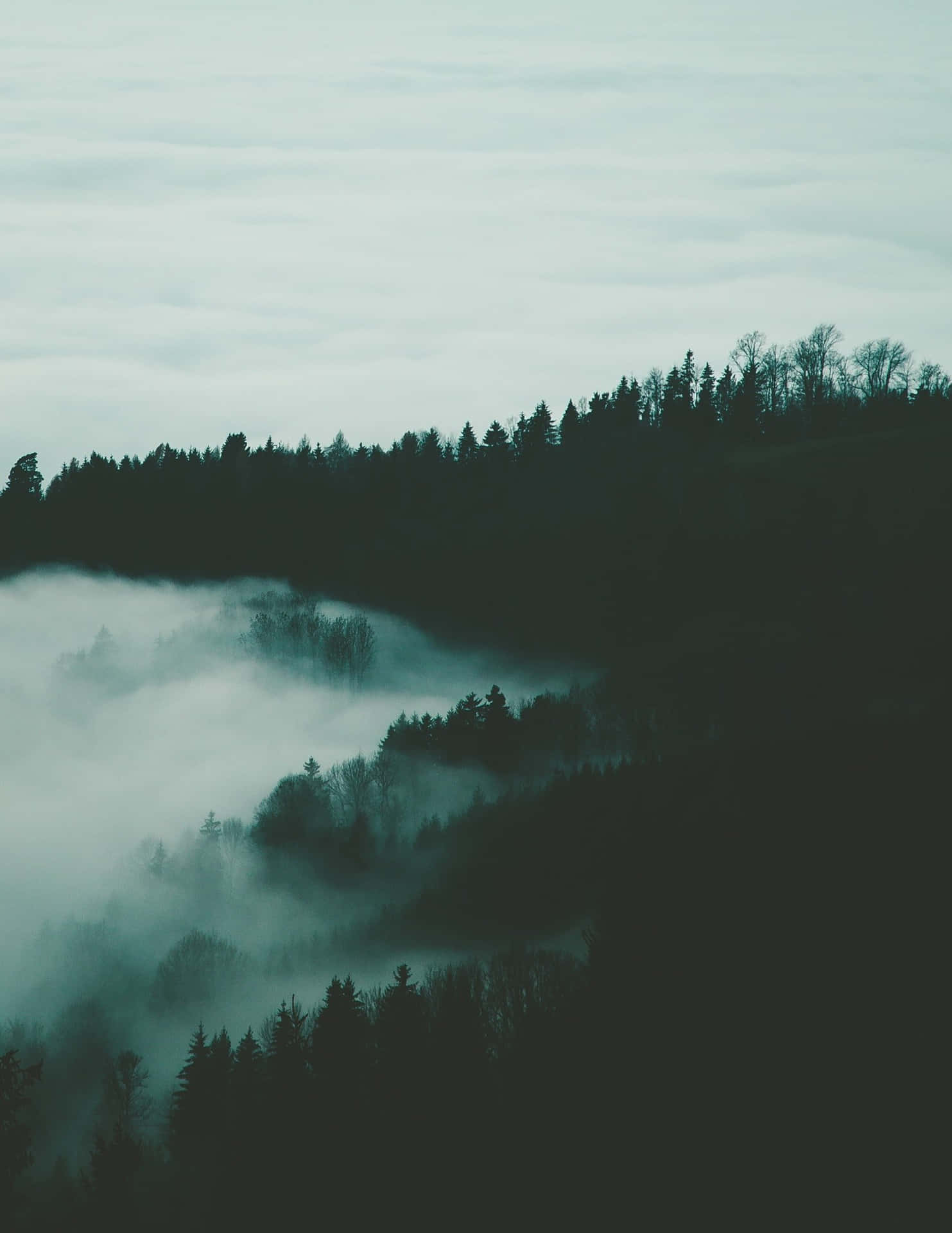 Skønheden af naturen - en tåget landskab fremviser en fredelig atmosfære. Wallpaper