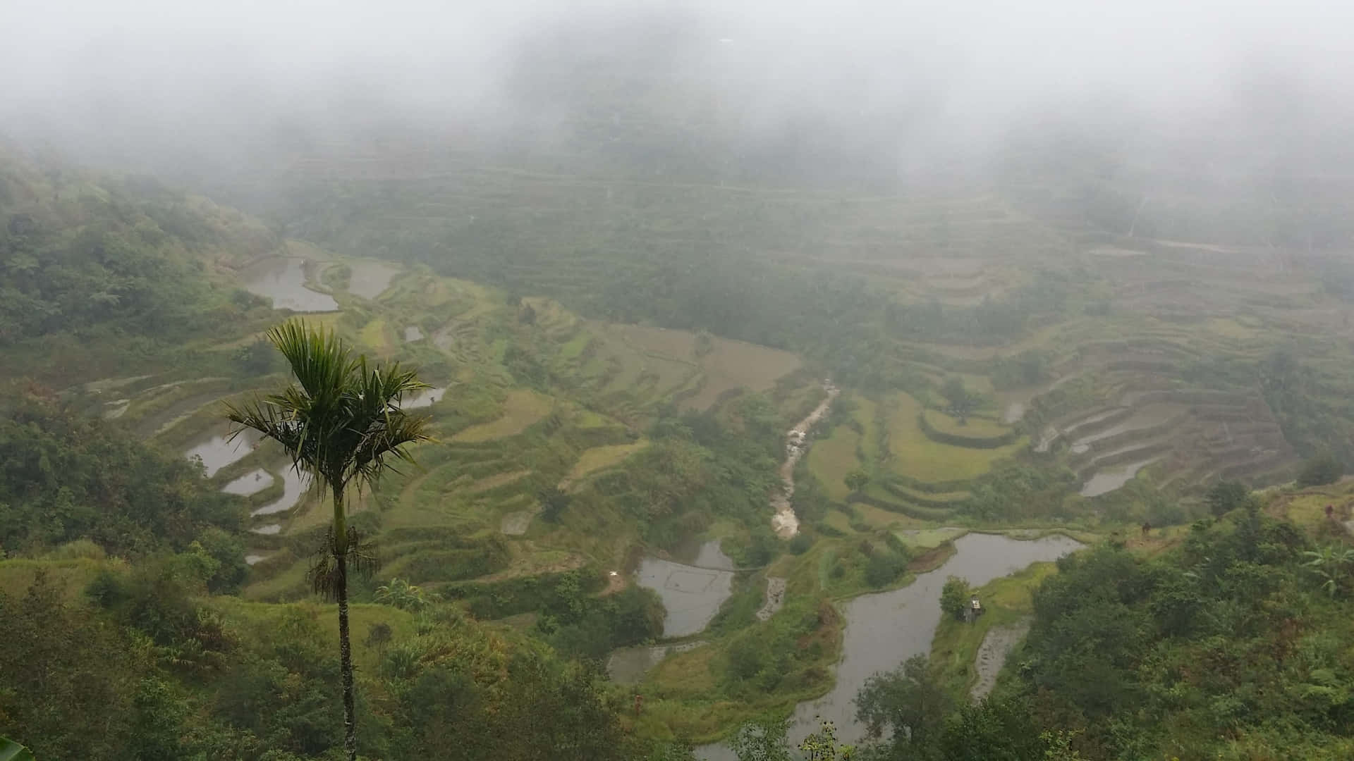 Foggy Banaue Rice Terraces In The Philippines Wallpaper