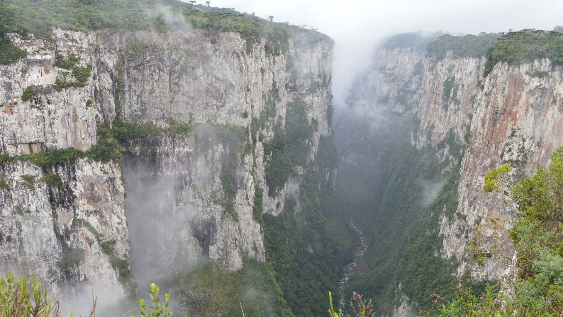 Canyon Nebbioso In Brasile Sfondo