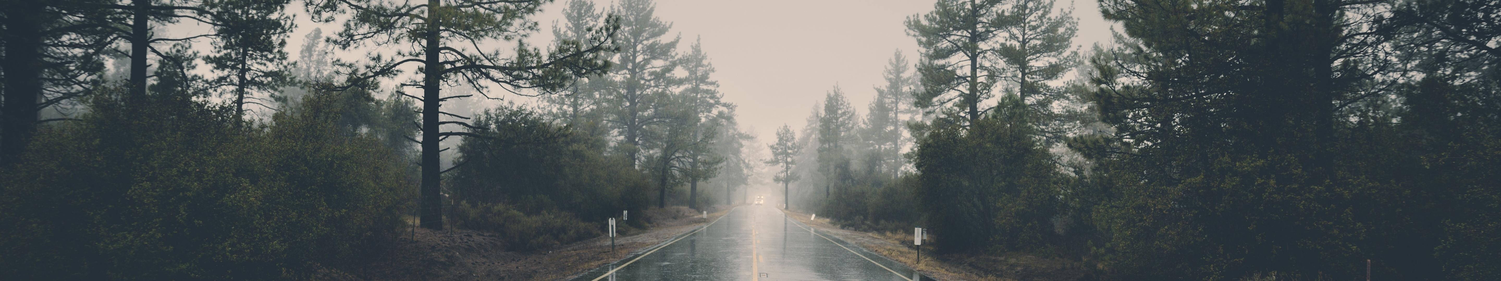 Foggy Country Road Three Screen Wallpaper