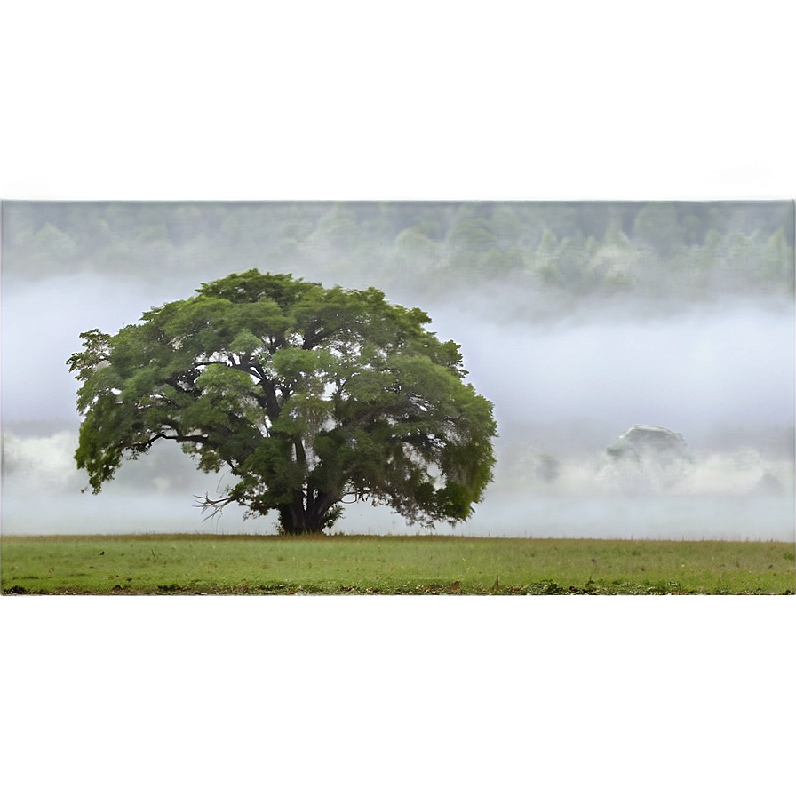 Foggy Countryside Png Uok82 PNG