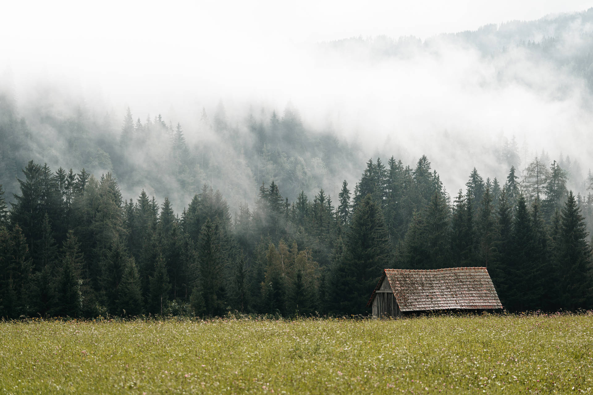 Foggy Forest And Barn Wallpaper