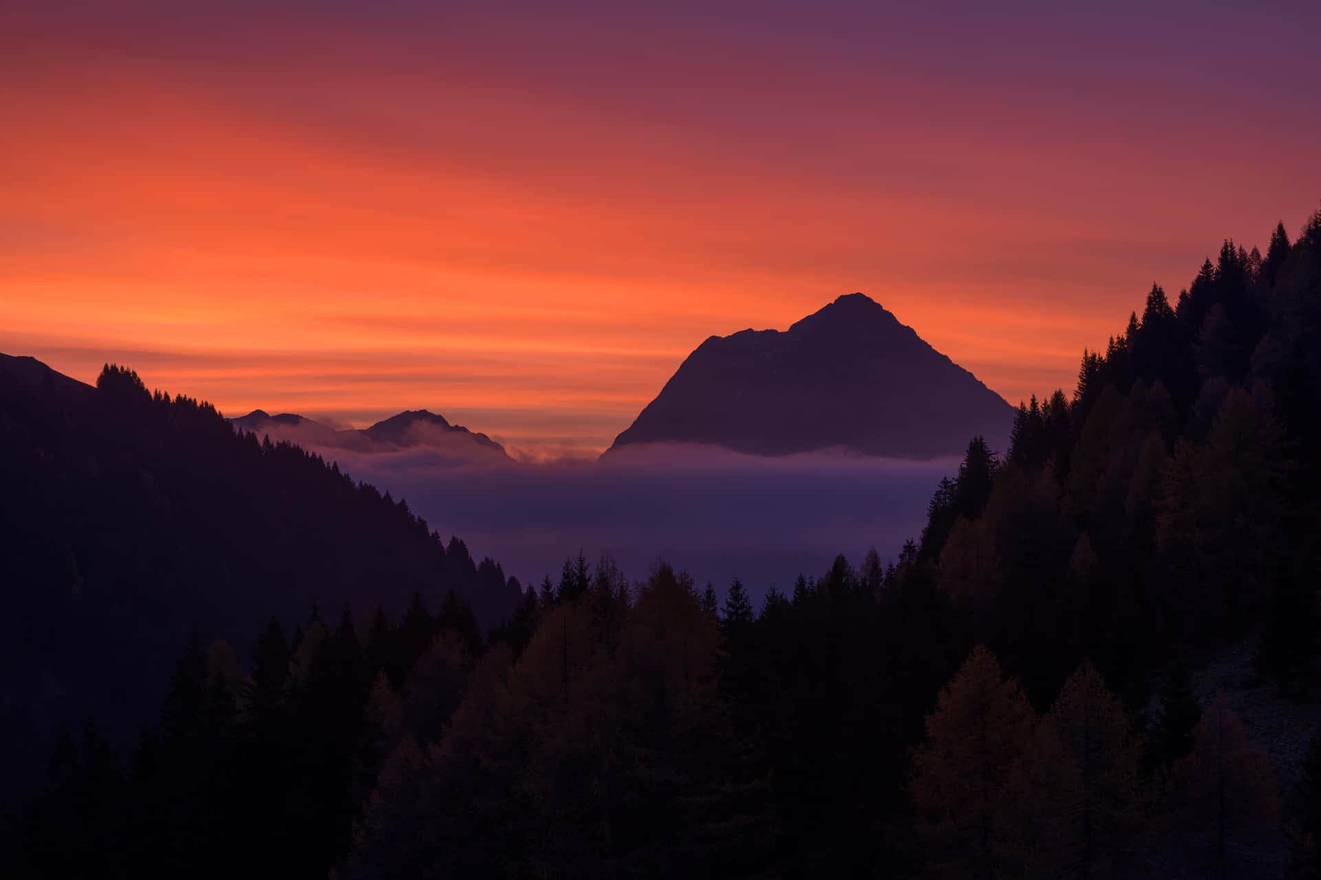Foggy Forest Mountains Sunset Digital Art Wallpaper