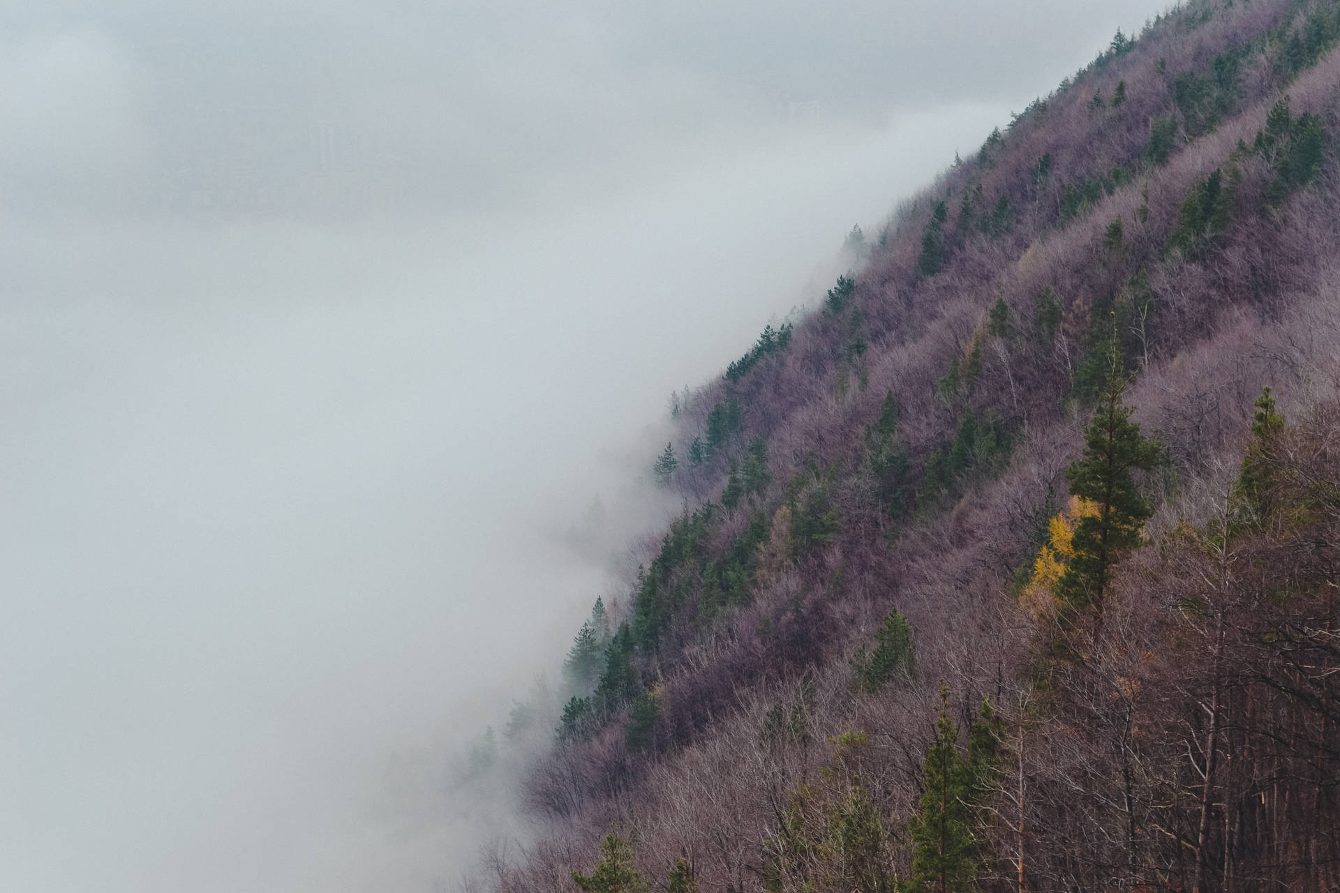 Ethereal Journey through a Foggy Mountain Forest Wallpaper