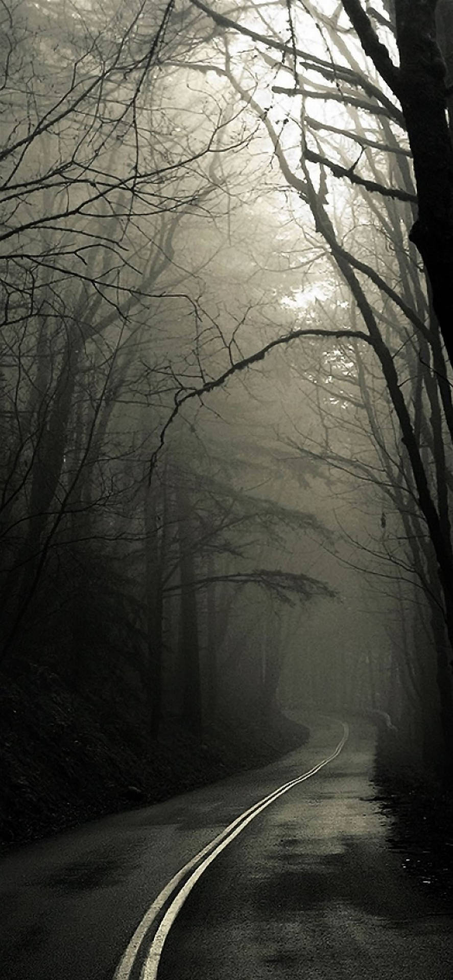 Caminoboscoso En La Neblina Para Iphone Oscuro. Fondo de pantalla