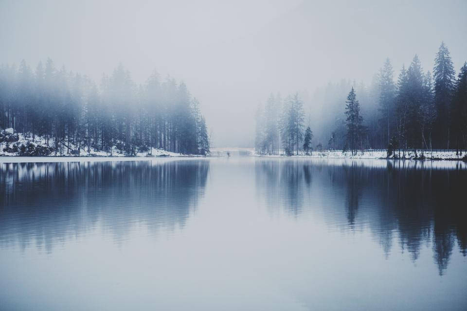 Foggy Forest Winter Lake Wallpaper