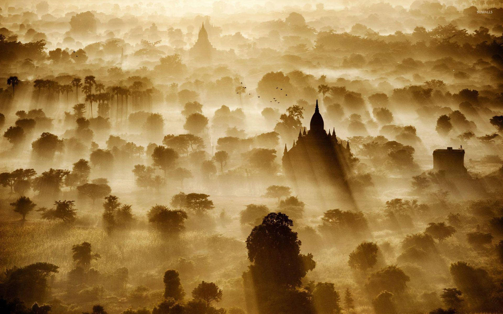 Foggy Morning In Burma