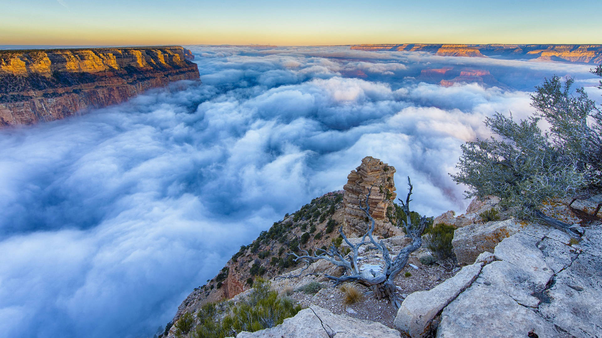 Nebligermorgen Im Grand Canyon Wallpaper