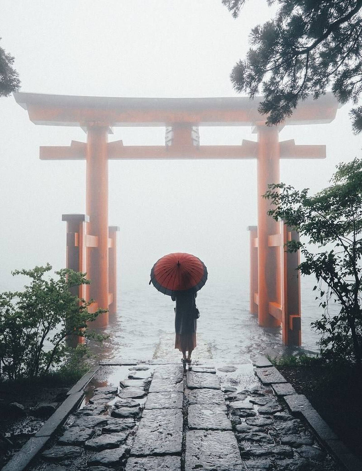 Foggy Red Torii Gate
