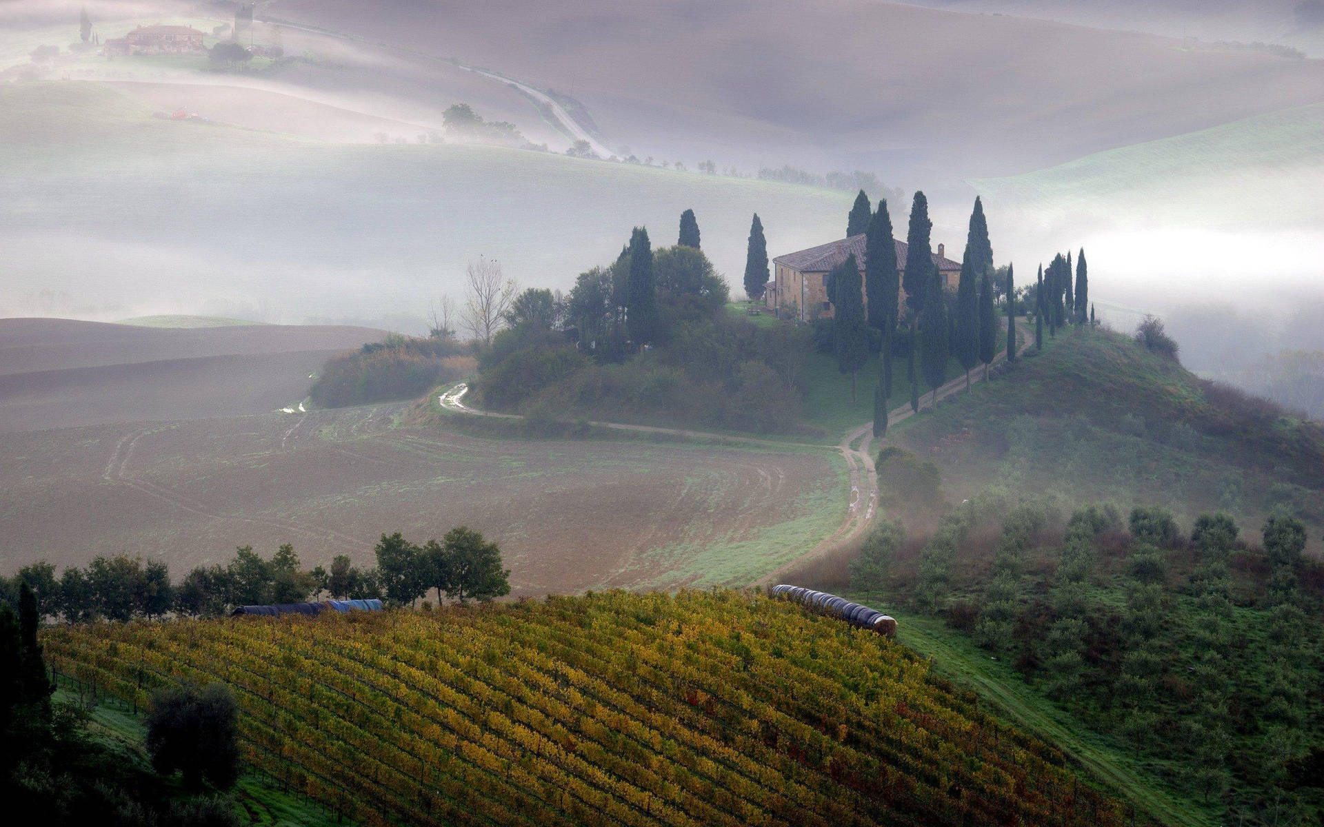 Foggy Rolling Hills In Tuscany Wallpaper